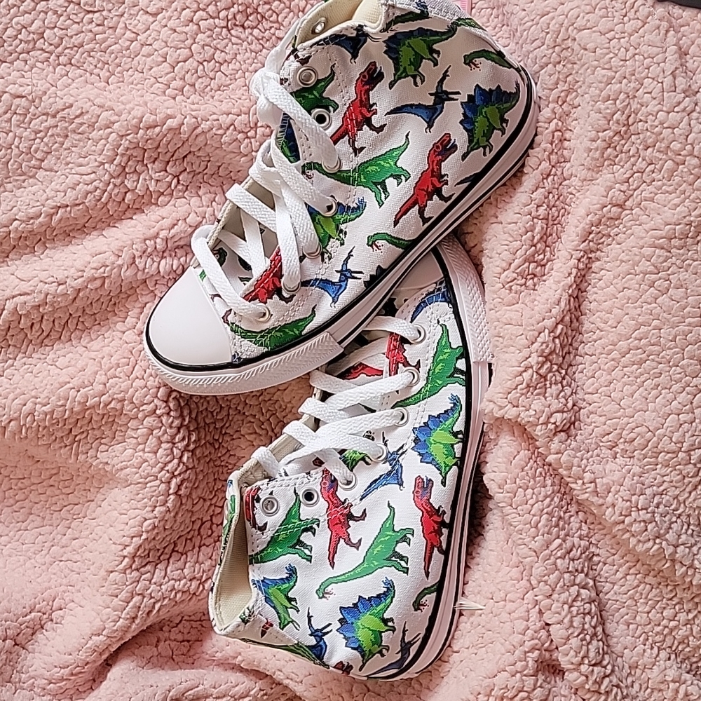 Converse High Top Dinosaurs Red Green  Blue  White